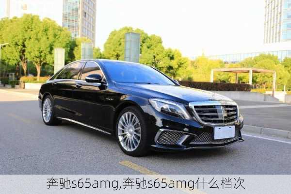 奔驰s65amg,奔驰s65amg什么档次