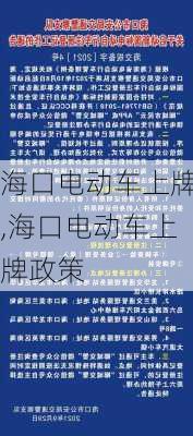 海口电动车上牌,海口电动车上牌政策