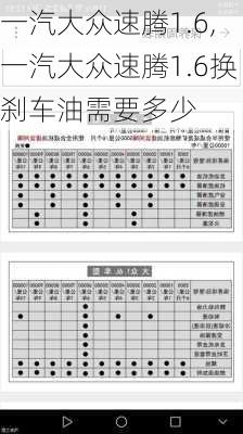 一汽大众速腾1.6,一汽大众速腾1.6换刹车油需要多少