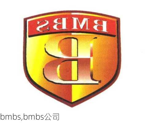 bmbs,bmbs公司