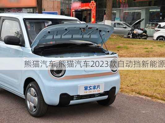 熊猫汽车,熊猫汽车2023款自动挡新能源