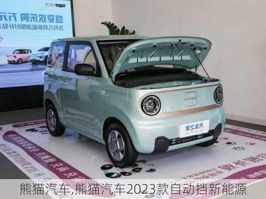 熊猫汽车,熊猫汽车2023款自动挡新能源