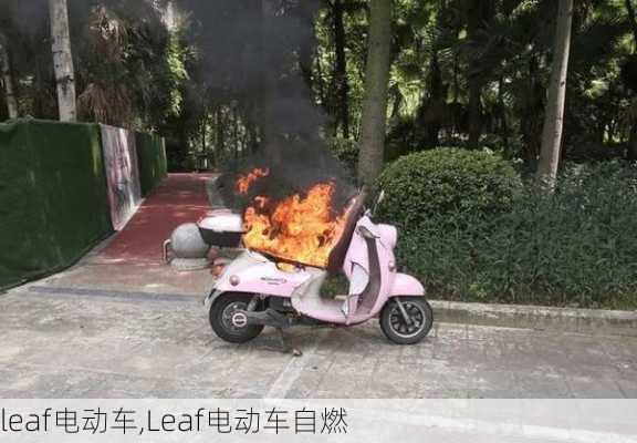 leaf电动车,Leaf电动车自燃