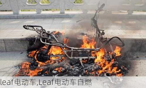 leaf电动车,Leaf电动车自燃