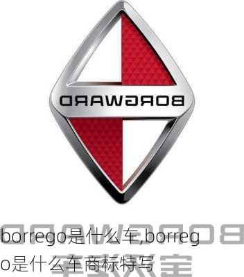 borrego是什么车,borrego是什么车商标特写