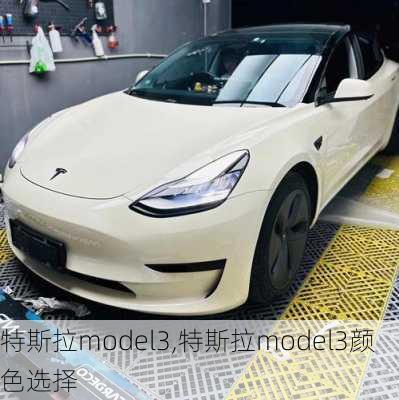 特斯拉model3,特斯拉model3颜色选择