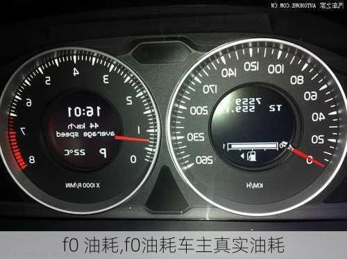 f0 油耗,f0油耗车主真实油耗