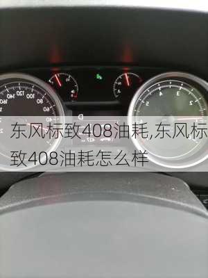 东风标致408油耗,东风标致408油耗怎么样