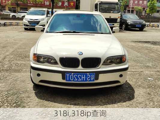 318i,318ip查询