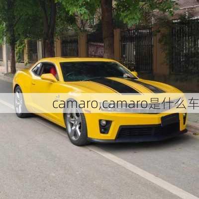 camaro,camaro是什么车