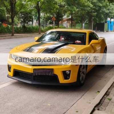 camaro,camaro是什么车