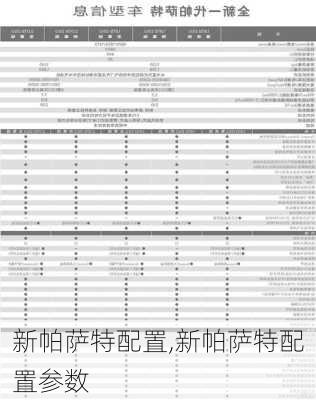 新帕萨特配置,新帕萨特配置参数