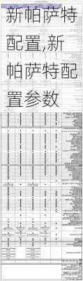 新帕萨特配置,新帕萨特配置参数