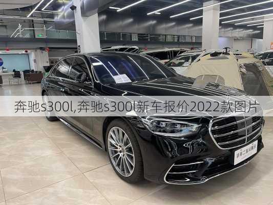 奔驰s300l,奔驰s300l新车报价2022款图片