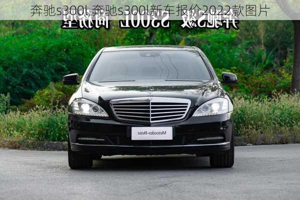 奔驰s300l,奔驰s300l新车报价2022款图片