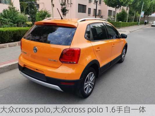 大众cross polo,大众cross polo 1.6手自一体