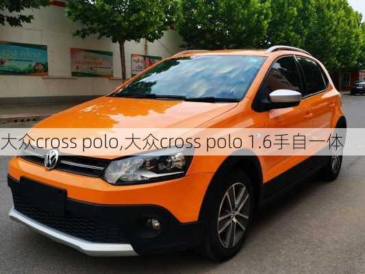 大众cross polo,大众cross polo 1.6手自一体