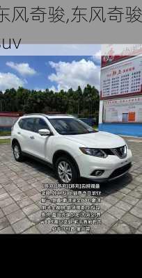 东风奇骏,东风奇骏suv