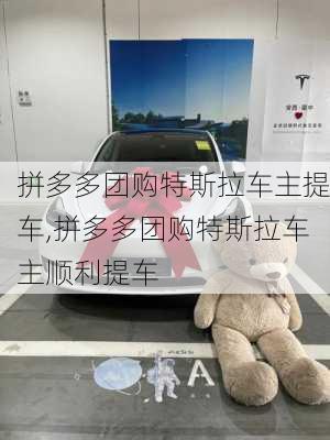 拼多多团购特斯拉车主提车,拼多多团购特斯拉车主顺利提车