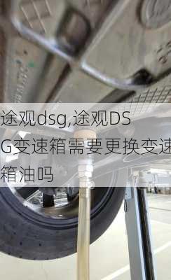 途观dsg,途观DSG变速箱需要更换变速箱油吗