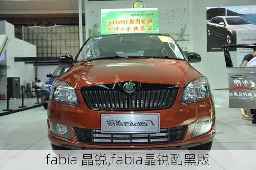 fabia 晶锐,fabia晶锐酷黑版