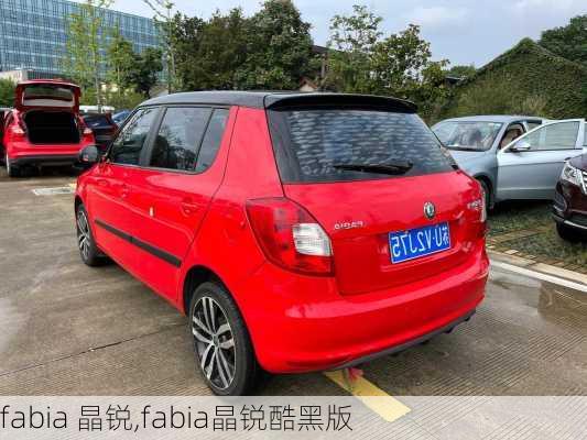 fabia 晶锐,fabia晶锐酷黑版