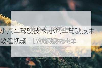 小汽车驾驶技术,小汽车驾驶技术教程视频