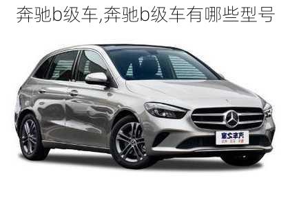 奔驰b级车,奔驰b级车有哪些型号