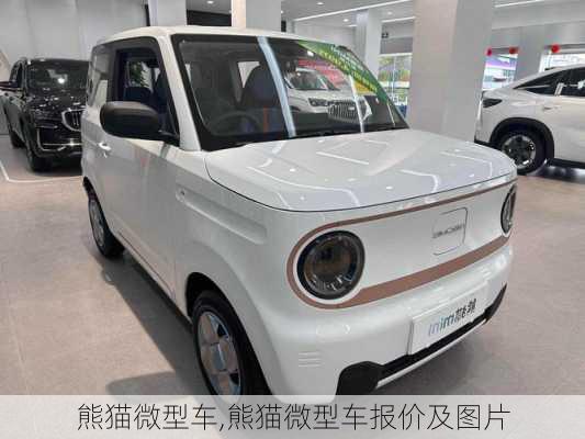 熊猫微型车,熊猫微型车报价及图片