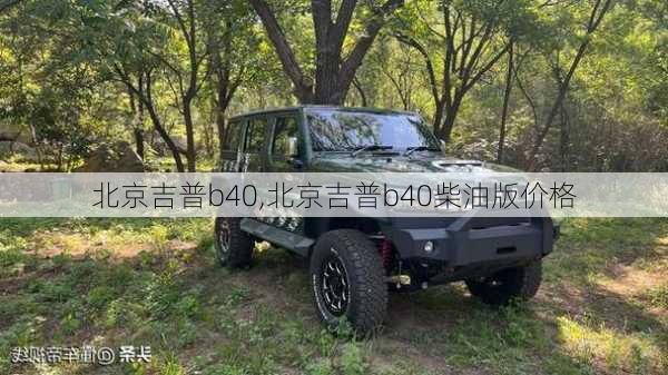 北京吉普b40,北京吉普b40柴油版价格