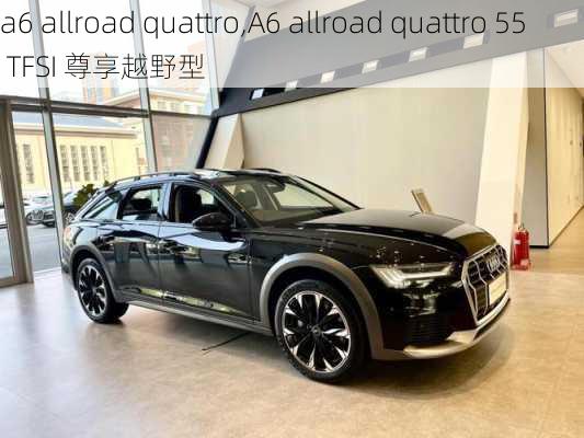 a6 allroad quattro,A6 allroad quattro 55 TFSI 尊享越野型