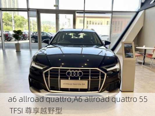 a6 allroad quattro,A6 allroad quattro 55 TFSI 尊享越野型