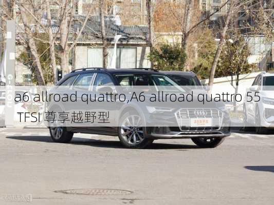 a6 allroad quattro,A6 allroad quattro 55 TFSI 尊享越野型