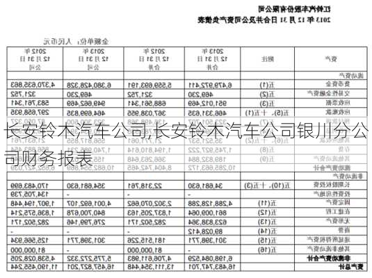 长安铃木汽车公司,长安铃木汽车公司银川分公司财务报表