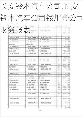 长安铃木汽车公司,长安铃木汽车公司银川分公司财务报表