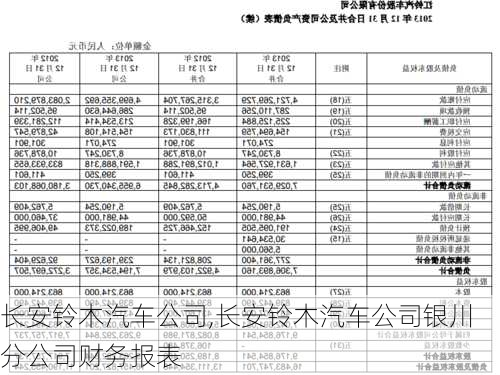 长安铃木汽车公司,长安铃木汽车公司银川分公司财务报表