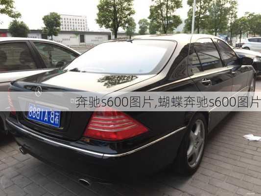 奔驰s600图片,蝴蝶奔驰s600图片