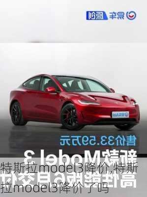 特斯拉model3降价,特斯拉model3降价了吗