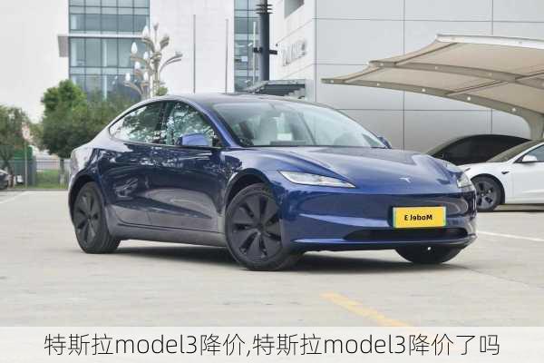 特斯拉model3降价,特斯拉model3降价了吗