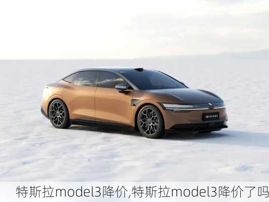 特斯拉model3降价,特斯拉model3降价了吗