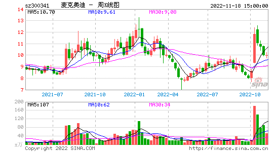 奥迪汽车公司,奥迪汽车公司的股票