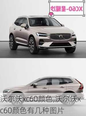 沃尔沃xc60颜色,沃尔沃xc60颜色有几种图片