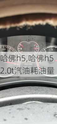 哈佛h5,哈佛h52.0t汽油耗油量