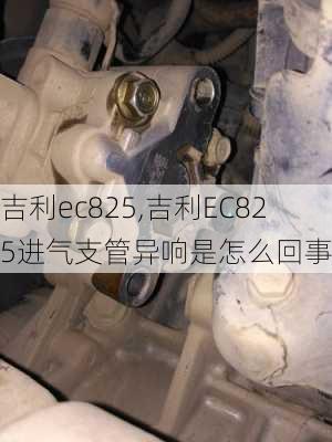 吉利ec825,吉利EC825进气支管异响是怎么回事