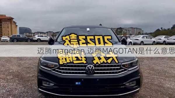 迈腾magotan,迈腾MAGOTAN是什么意思