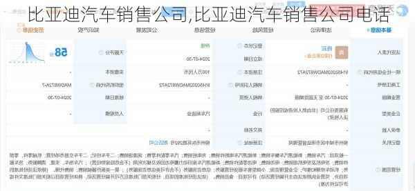 比亚迪汽车销售公司,比亚迪汽车销售公司电话