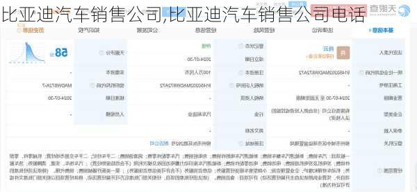 比亚迪汽车销售公司,比亚迪汽车销售公司电话
