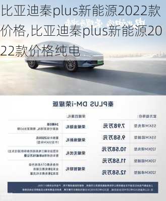 比亚迪秦plus新能源2022款价格,比亚迪秦plus新能源2022款价格纯电