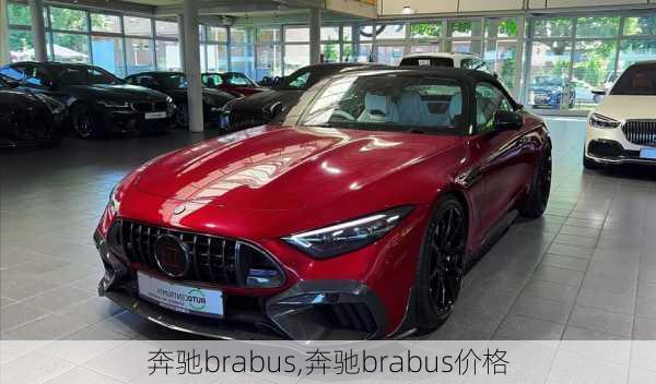 奔驰brabus,奔驰brabus价格