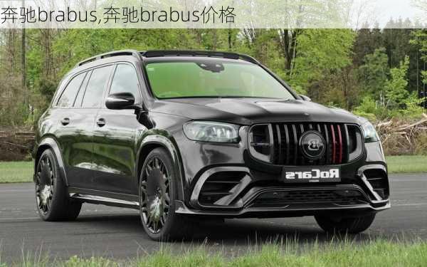 奔驰brabus,奔驰brabus价格